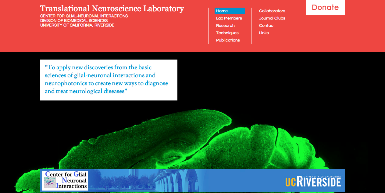 Translationa Neuroscience Laboratory home page