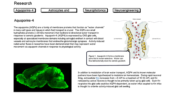 Translational wireframe for research page